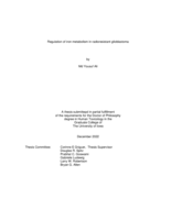 Regulation of iron metabolism in radioresistant glioblastoma