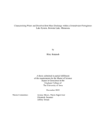 Characterizing water and dissolved iron mass discharge within a groundwater-ferruginous lake system, Brownie Lake, Minnesota