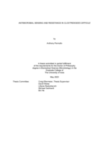 Antimicrobial sensing and resistance in Clostridioides difficile