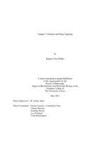 Caspase-7 allostery and drug targeting