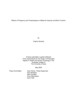 Effects of pregnancy and preeclampsia on maternal vascular and brain function