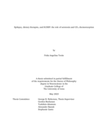 Epilepsy, dietary therapies, and SUDEP: the role of serotonin and CO2 chemoreception
