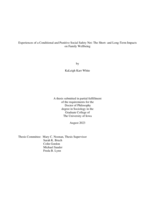 Experiences of a conditional and punitive social safety net: the short- and long-term impacts on family wellbeing