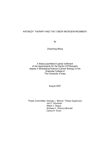 Antibody therapy and the tumor microenvironment