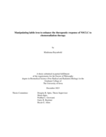 Manipulating labile iron to enhance the therapeutic response of NSCLC to chemoradiation therapy