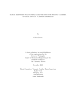 BeBOT: Bernstein polynomial-based method for solving complex optimal motion planning problems