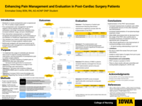 Enhancing Pain Management and Evaluation in Post-Cardiac Surgery Patients