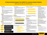A Home Activity Support Tool (HAST) for Ischemic Stroke Patients