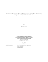 Investigation of the biometric effects and flight performance of drone pilots while inspecting bridges with auditory and visual proximity aids