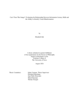 Can I trust this image?: evaluating the relationship between information literacy skills and the ability to identify visual misinformation