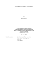 Neural mechanisms of stress and metabolism