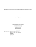 Neurophysiological investigation of transcranial magnetic stimulation’s antidepressant effects