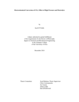 Electrochemical conversion of CO2: effect of high pressure and electrolyte