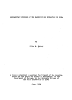 Sedimentary studies of the Wapsipinicon formation in Iowa