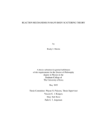 Reaction mechanisms in many-body scattering theory