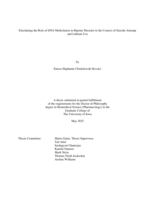 Elucidating the role of DNA methylation in bipolar disorder in the context of suicide attempt and lithium use