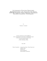 Autonomous feature discovery, representation and analysis for small SONAR targets using domain cognizant machine learning techniques