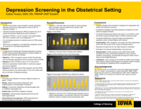 Depression Screening in the Obstetrical Setting