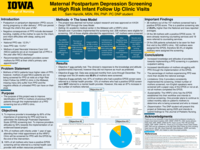 Maternal postpartum depression screening at High Risk Infant Follow Up Clinic visits