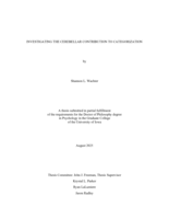 Investigating the cerebellar contribution to categorization