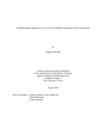 Visual dominance during low-level forward flight in degraded visual environments