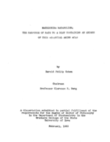 Methionine metabolism: the response of rats to a diet containing an excess of this essential amino acid