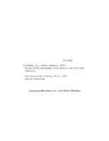 Pure tone masking and signal detection theory