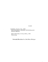 Motoneurone resting potentials in spinal shock