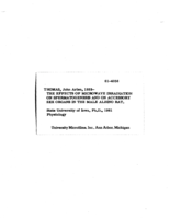 The effects of microwave irradiation on spermatogenesis and on accessory sex organs in the male albino rat