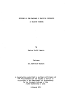 Studies on the pathway of protein synthesis in tissue culture