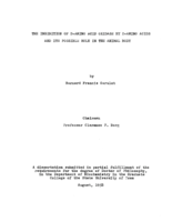The inhibition of D-amino acid oxidase by D-amino acids and its possible role in the animal body