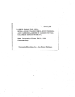 Spinal cord transection, hypothermia and catecholamines in carbon tetrachloride hepatotoxicity
