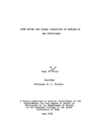 Stem apices and floral transition in species of the Tubiflorae