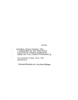 A comparison of the structural location of tyrosyl residues in horse and tuna ferricytochromes c