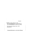 The conversion of D-Tryptophan to D-Kynurenine in the rat liver