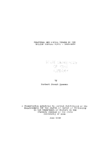 Political and social themes in the English popular novel, 1815-1832