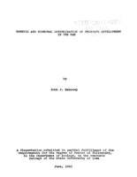 Genetic and hormonal determination of prostate development in the rat