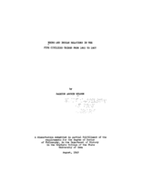 Negro and Indian relations in the five civilized tribes from 1865 to 1907