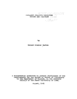 Margaret Fuller's criticism theory and practice