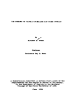 The Sorrows of Captain Schreiber and other stories