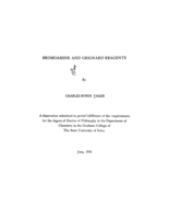 Bromoamine and grignard Reagents