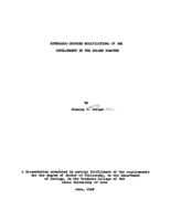 Estradiol-induced modifications of sex development in the golden hamster