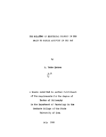 The relation of electrical changes in the brain to reflex activity in the rat