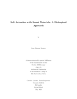 Soft actuation with smart materials: a bioinspired approach