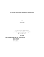 The molecular impact of sleep deprivation on the hippocampus