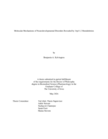 Molecular mechanisms of neurodevelopmental disorders revealed by 16p11.2 hemideletion