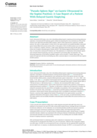 “Pseudo-Spleen Sign” on Gastric Ultrasound in the Supine Position: A Case Report of a Patient With Delayed Gastric Emptying
